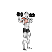 dumbbell one arm shoulder press animación
