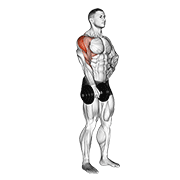dumbbell one arm upright row animación