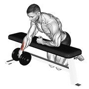 dumbbell over bench one arm wrist curl animación