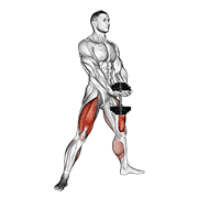 dumbbell plyo squat animación