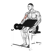 dumbbell preacher curl animación