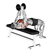 dumbbell pullover animación
