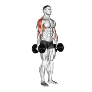 dumbbell raise animación