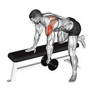 dumbbell rear delt row_shoulder animación