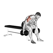 dumbbell rear fly animación