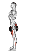 dumbbell rear lunge animación