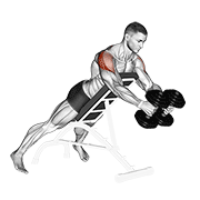dumbbell reverse fly animación