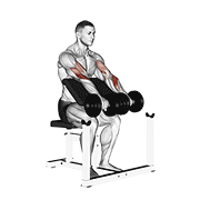 dumbbell reverse preacher curl animación