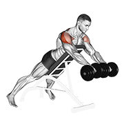dumbbell rotation reverse fly animación