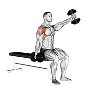 dumbbell seated alternate front raise animación
