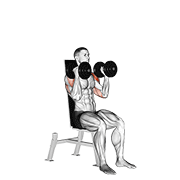 dumbbell seated alternate press animación