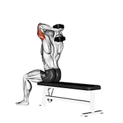 dumbbell seated bench extension animación
