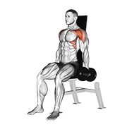 dumbbell seated front raise animación