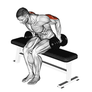 dumbbell seated kickback animación