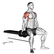 dumbbell seated lateral raise animación