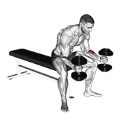 dumbbell seated neutral wrist curl animación