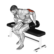 dumbbell seated one arm kickback animación