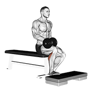 dumbbell seated one leg calf raise animación