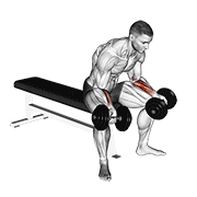 dumbbell seated palms up wrist curl animación