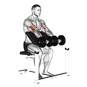 dumbbell seated preacher curl animación
