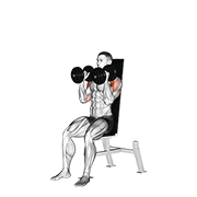 dumbbell seated shoulder press (parallel grip) animación