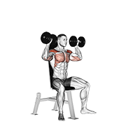 dumbbell seated shoulder press animación