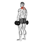 dumbbell shrug animación