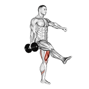 dumbbell single leg squat animación