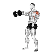 dumbbell standing alternate raise animación