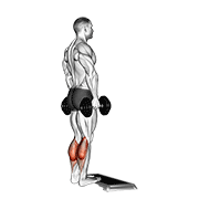 dumbbell standing calf raise animación