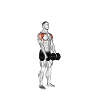 dumbbell standing front raise above head animación