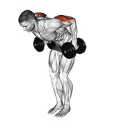 dumbbell standing kickback animación