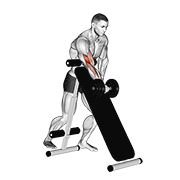 dumbbell standing one arm curl (over incline bench) animación