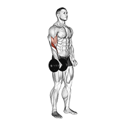 dumbbell standing one arm reverse curl animación