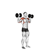 dumbbell standing overhead press animación