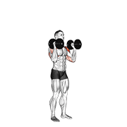 dumbbell standing palms in press animación