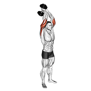 dumbbell standing triceps extension animación