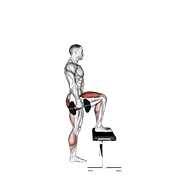 dumbbell step-up animación