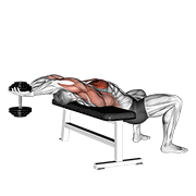 dumbbell straight arm pullover animación