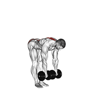 dumbbell straight leg deadlift animación