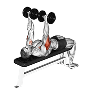 dumbbell tate press animación