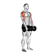 dumbbell upright row animación