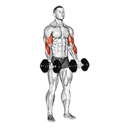 dumbbell zottman curl animación