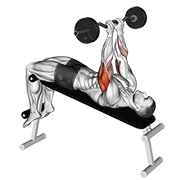 ez barbell decline close grip face press animación