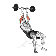 ez barbell incline triceps extension animación