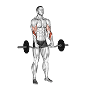ez barbell reverse grip curl animación