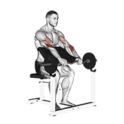 ez barbell reverse grip preacher curl animación