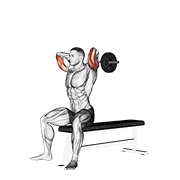 ez barbell seated triceps extension animación