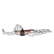 flexion leg sit up (bent knee) animación