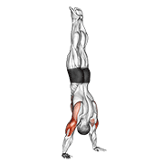 handstand push-up animación